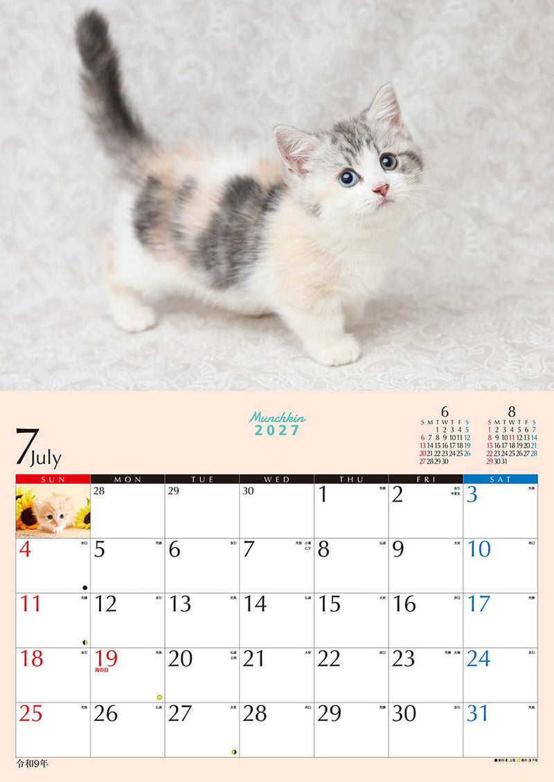 Try-X 2027 Wall Calendar Kitten Munchkin 27CL-382 51x36cm