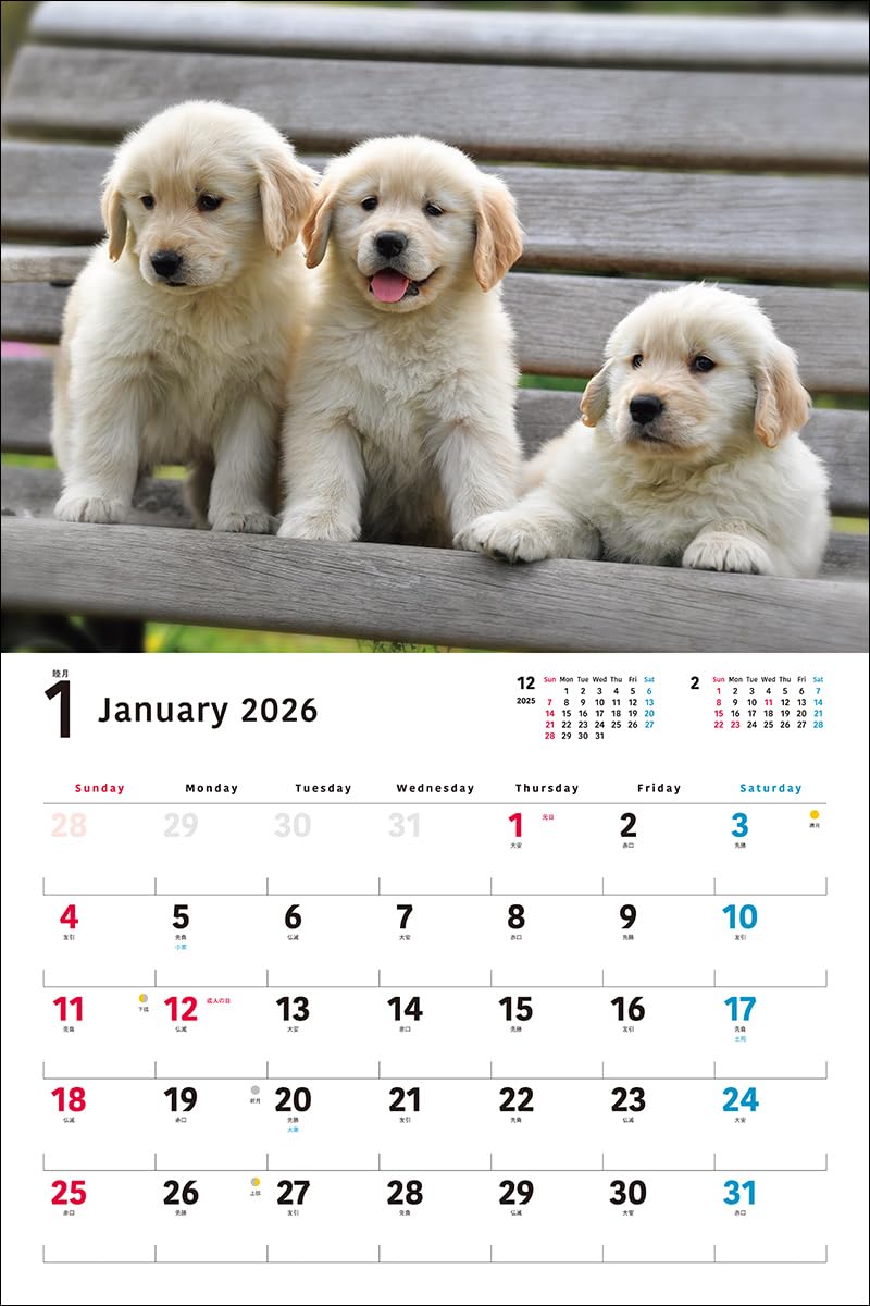 2026 Golden Retriever Calendar Wide Edition (Seibundo-shinkosha Calendar)