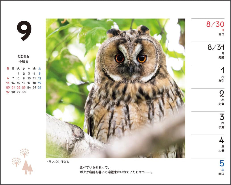 Shimaenaga and Friends of the Forest Weekly Desk Calendar 2026