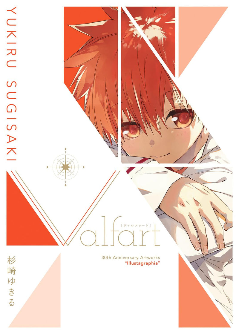 Yukiru Sugisaki 30th Anniversary Artworks illustagraphia Valfart