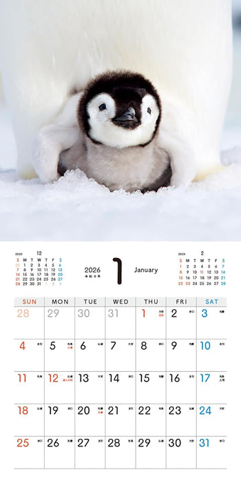 Baby Emperir Penguin Calendar 2026