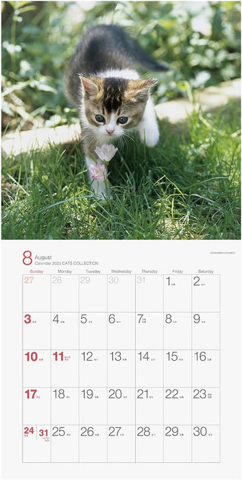 2025 Cats Collection Torahiko Yamashita Calendar No.049