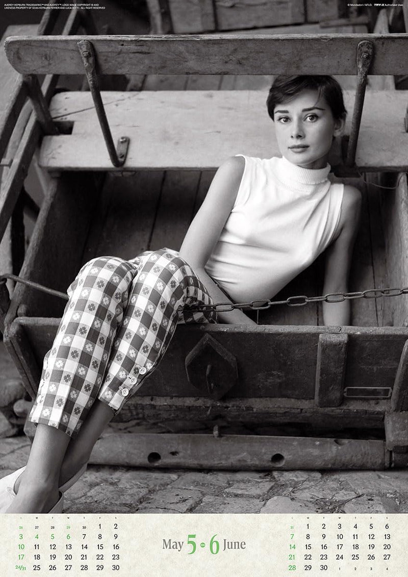 Try-X 2026 Wall Calendar Audrey Hepburn CL-341 B2