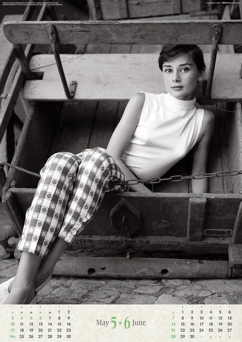 Try-X 2026 Wall Calendar Audrey Hepburn CL-341 B2