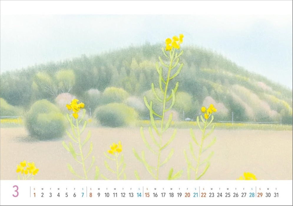 KS Hanbai Desk Calendar Ken Kuroi 2026 Calendar CL25-0498