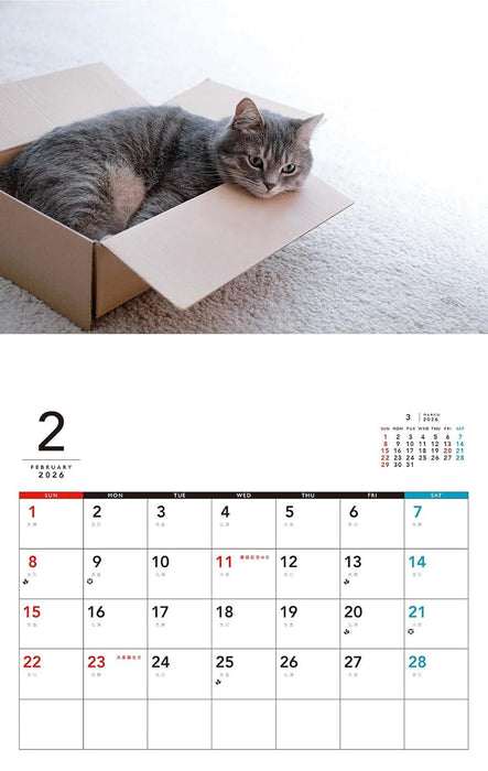 At home with cat Calendar 2026 (Monthly/Wall Calendar)