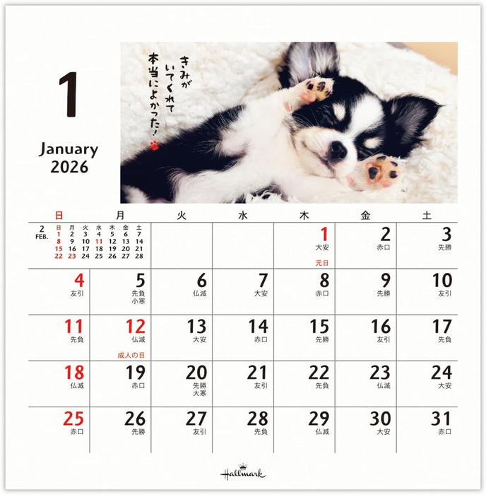 Hallmark 2026 Desk Calendar Homewanko 845544