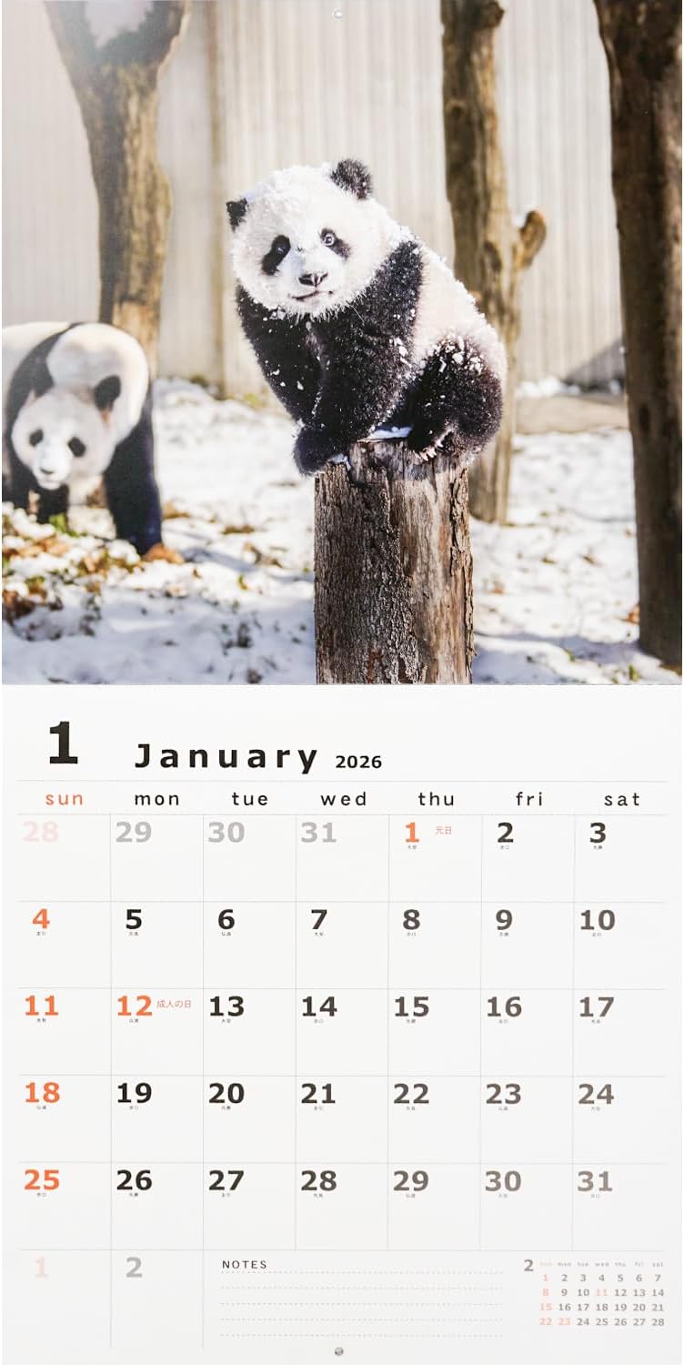 Greeting Life 2026 Wall Calendar Panda C-1668-PA