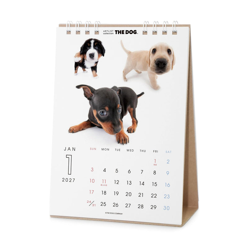 THE DOG 2027 Desk Calendar [All Stars]
