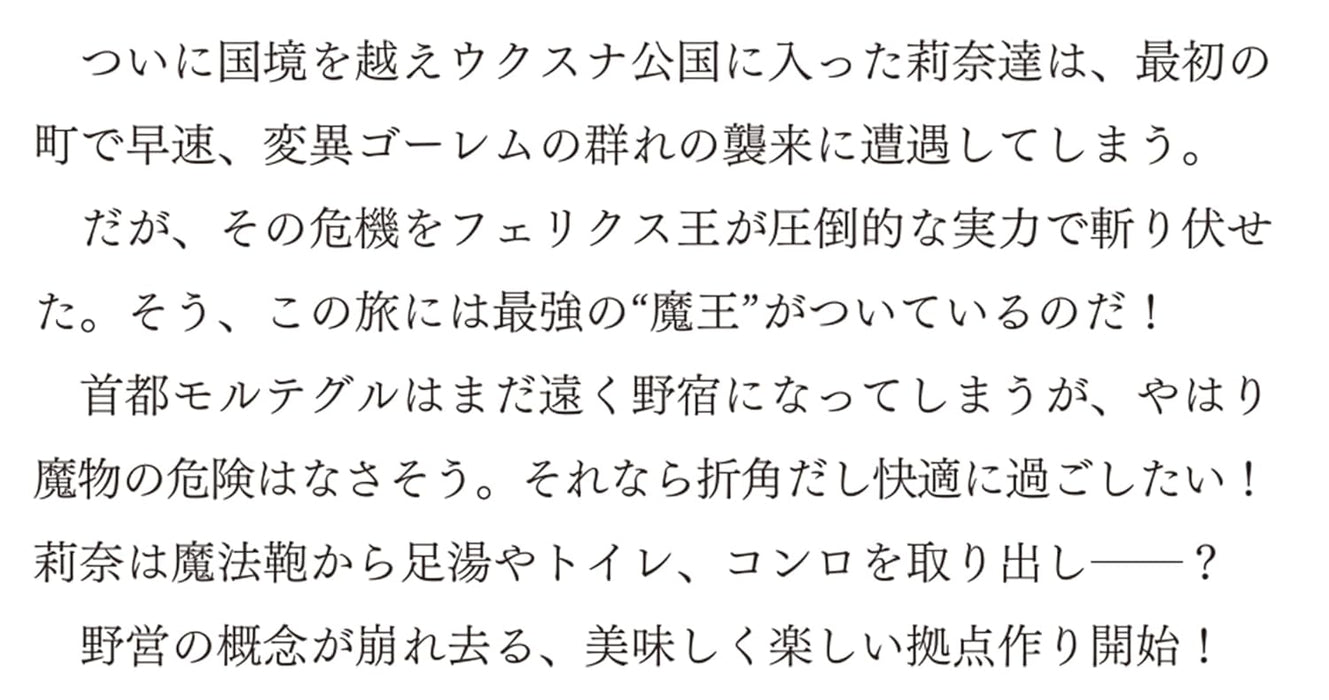 Seijo ja Nakatta node, Oukyuu de Nonbiri Gohan wo Tsukuru Koto ni Shimashita 12 (Light Novel)