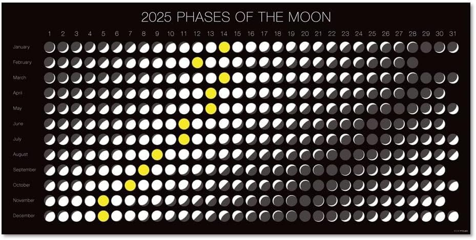 Moon Graphics 2025 Calendar - Moon Phase Poster Horizontal Layout CP202502b