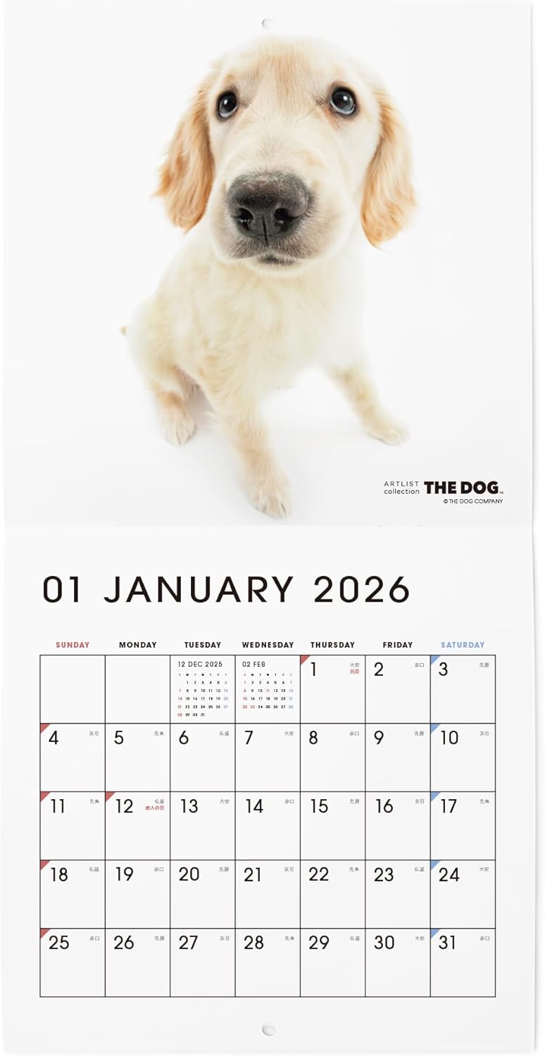 THE DOG 2026 Wall Calendar Mini Size [Golden Retriever]
