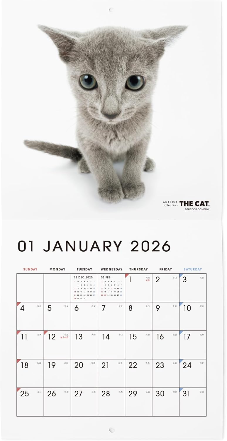 THE CAT 2026 Wall Calendar Mini Size [Russian Blue]