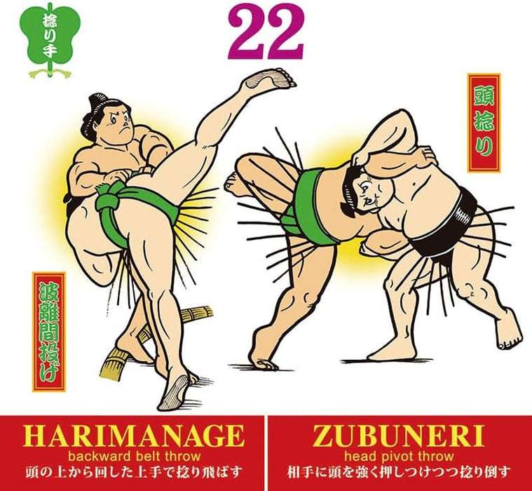 Try-X Perpetual Page-A-Day Desk Calendar Sumo 82 Winning Technique CL-742 19 x 18cm