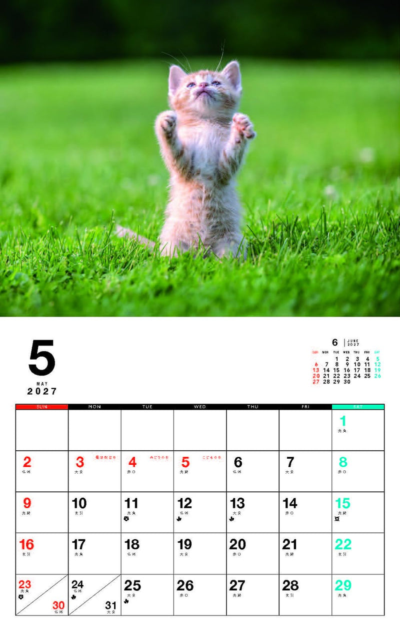 Kittens Calenddar 2027 (Monthly/Wall Calendar)