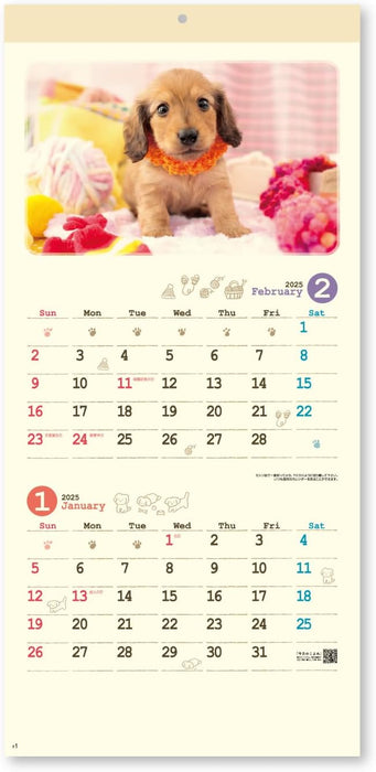 New Japan Calendar 2025 Wall Calendar Natural Dog NK434