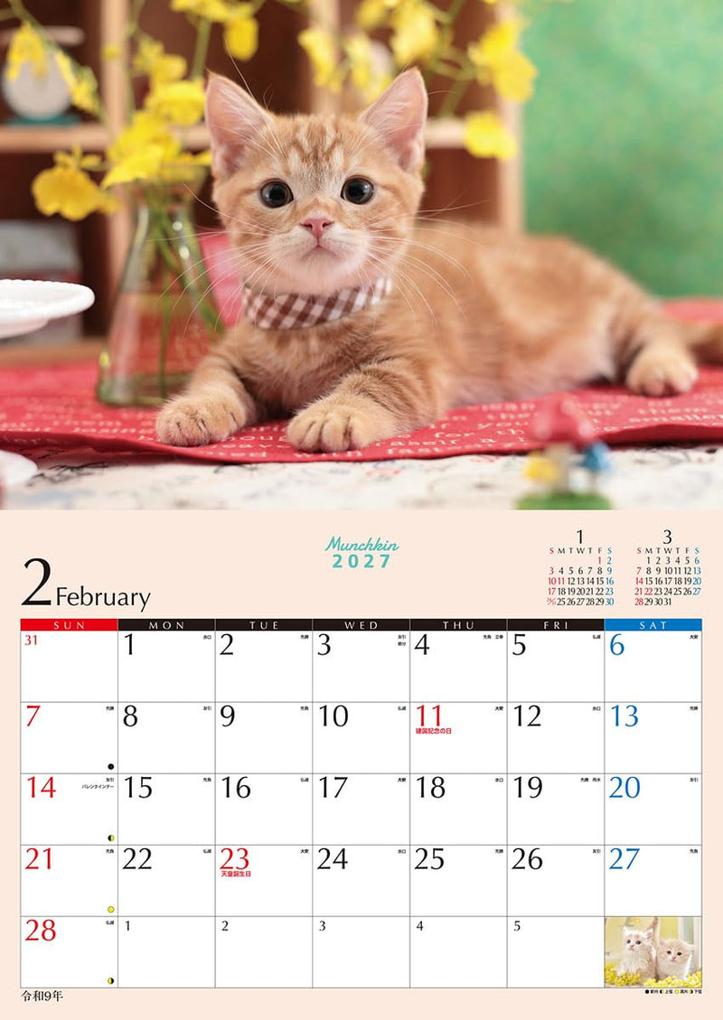Try-X 2027 Wall Calendar Kitten Munchkin 27CL-382 51x36cm