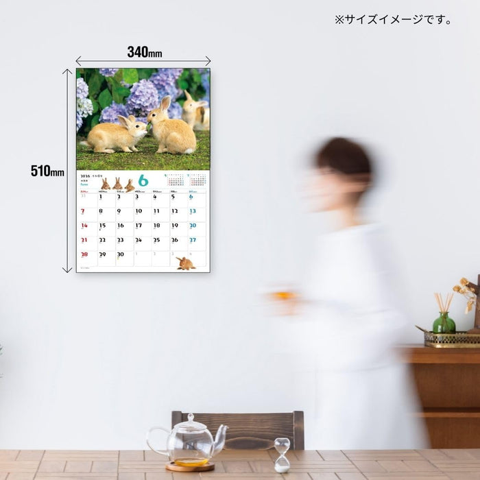 JTB Calendar Fuwa Fuwa Usagi 2026 Wall Calendar
