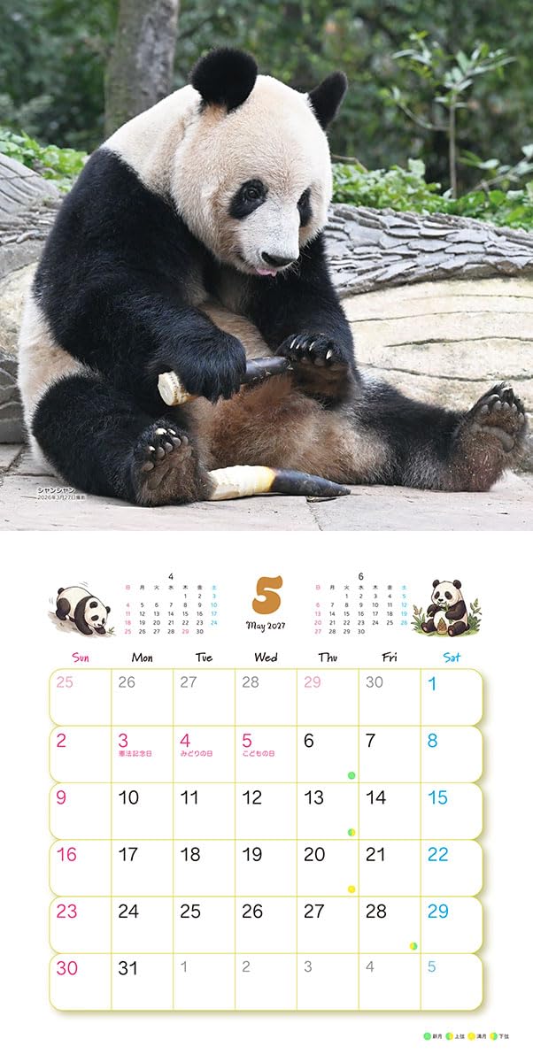 Try-X Xiang Xiang Xiaoxiao Lei Lei 2027 Wall Calendar 27CL-385 48 x 24cm