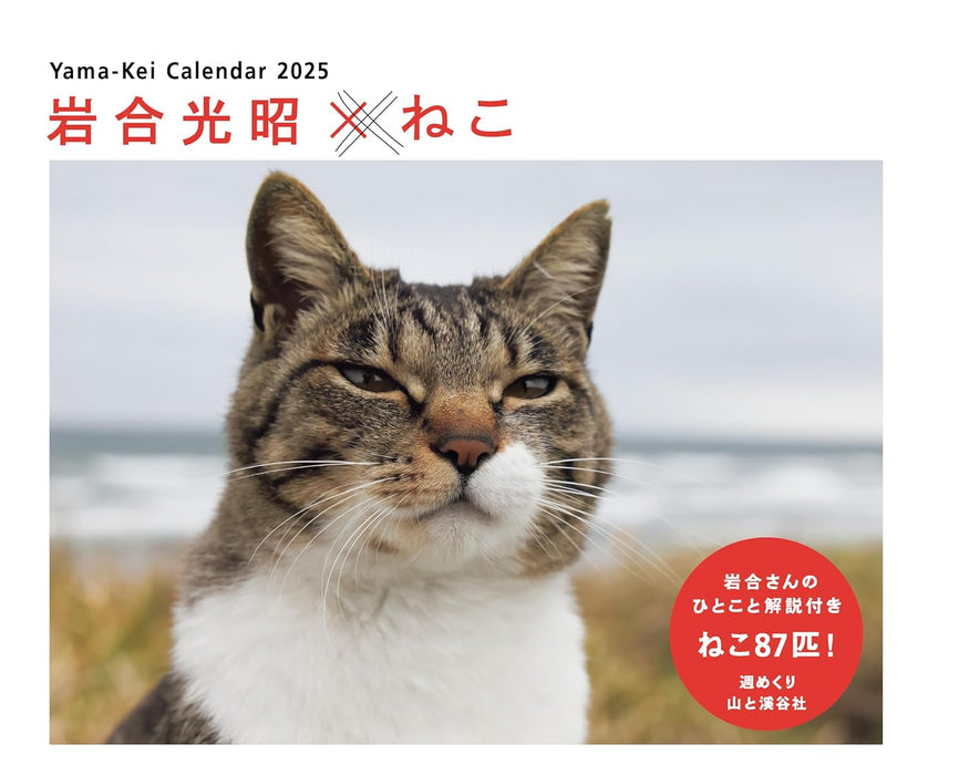 Calendar 2025 Mitsuaki Iwago x Cat (Weekly/Desk Ring Calendar) (Yama-kei Calendar 2025)