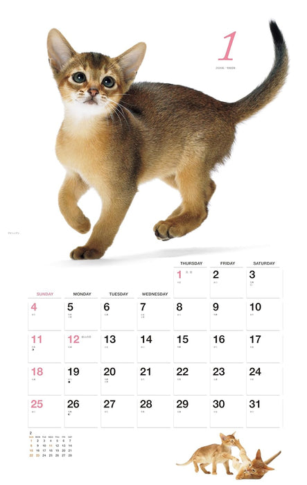 Honobono Koneko 2026 Calendar (Monthly/Wall Calendar)