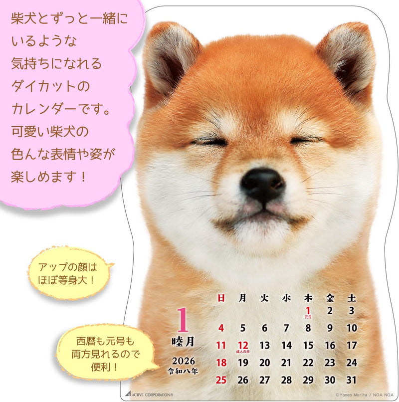 Active Corporation 2026 Wall Calendar Shibainu Desu 26ACL-65