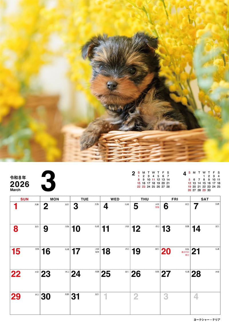 Koinu no Kimochi Calendar 2026