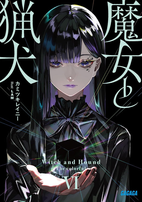 Majo to Ryouken 6 (Light Novel)