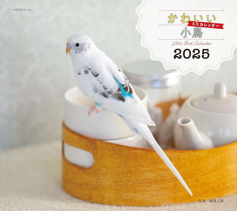 2025 Little Bird Calendar