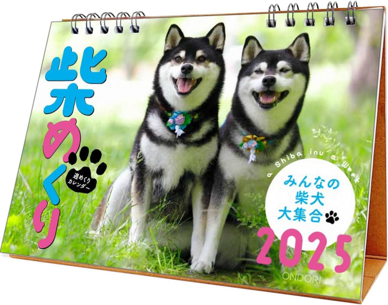 CO2 Shiba Inu 2024 Desk Calendar CK-D25-03