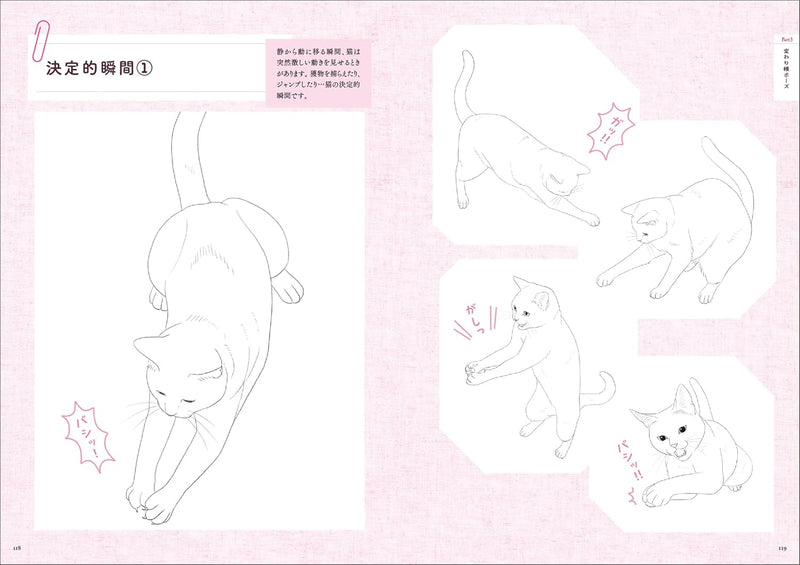 Cat Illustration Pose Collection
