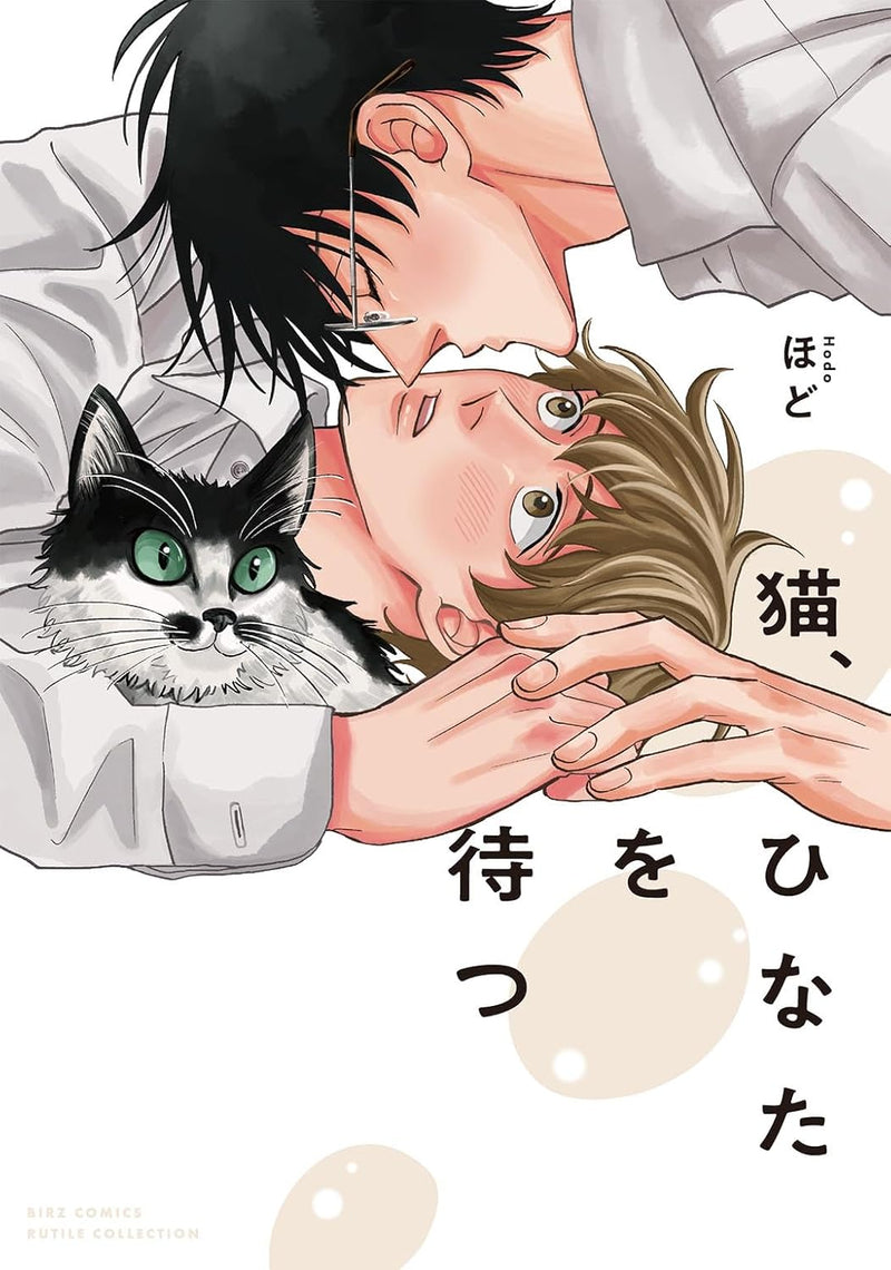 Neko, Hinata wo Matsu