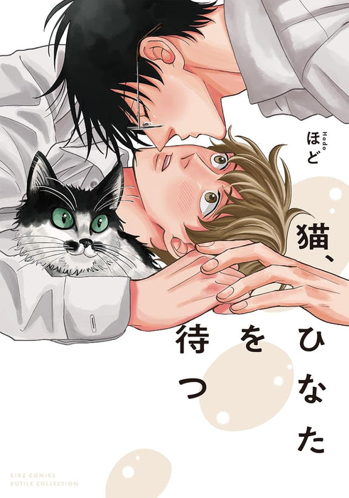 Neko, Hinata wo Matsu