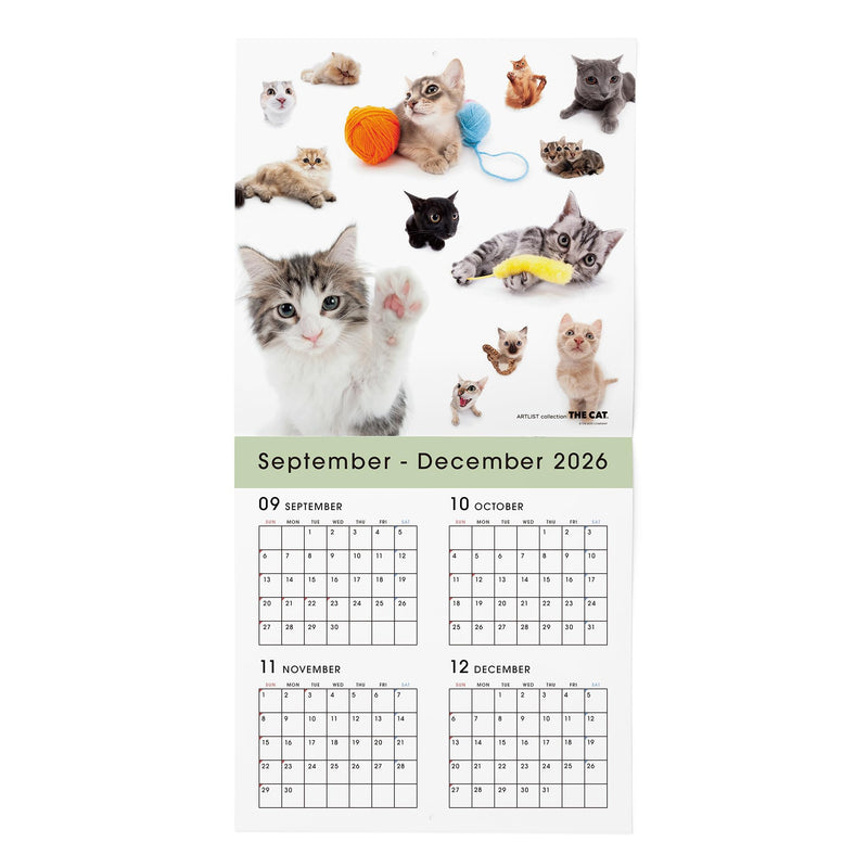 THE CAT 2027 Wall Calendar Large Size [All Stars]
