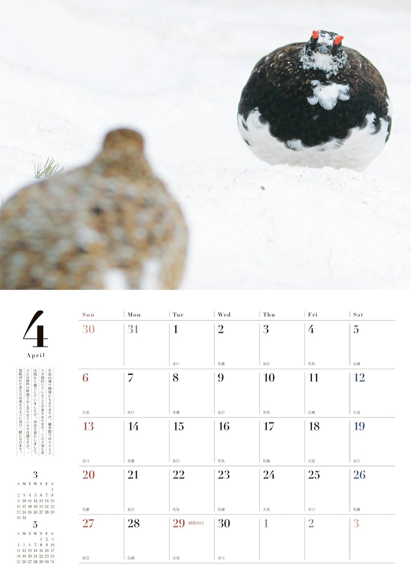 Rock Ptarmigan (Raichou) Seasons of the Sacred Bird 2025 Wall Calendar