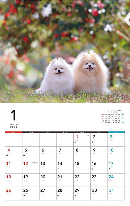 I LOVE Pomeranian Calendar 2026 (Monthly/Wall Calendar)