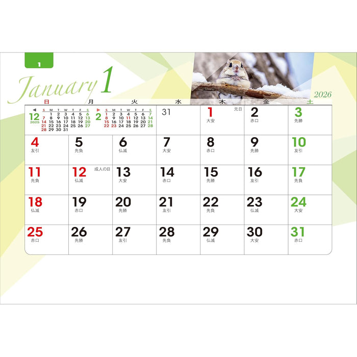 Todan 2026 Desk Calendar All Paper Radiance of the Forest 12.8 x 18.4cm TD-239