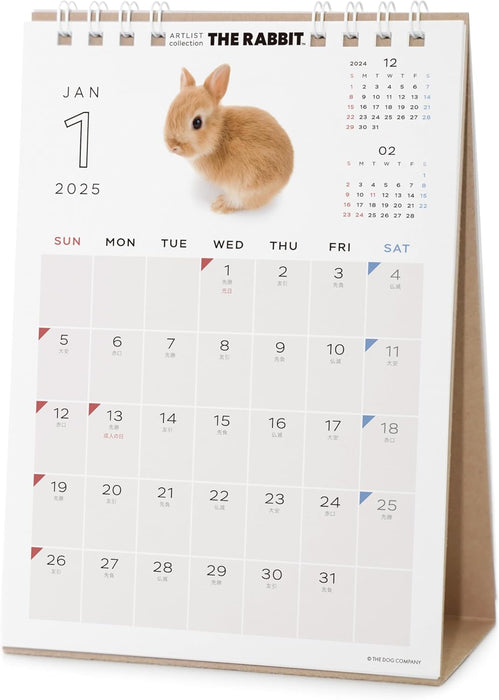 THE RABBIT 2025 Desk Calendar