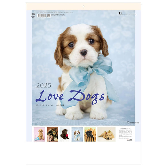 Todan 2025 Wall Calendar Love Dog - Rachel Hale Works - 53.5 x 38cm TD-933