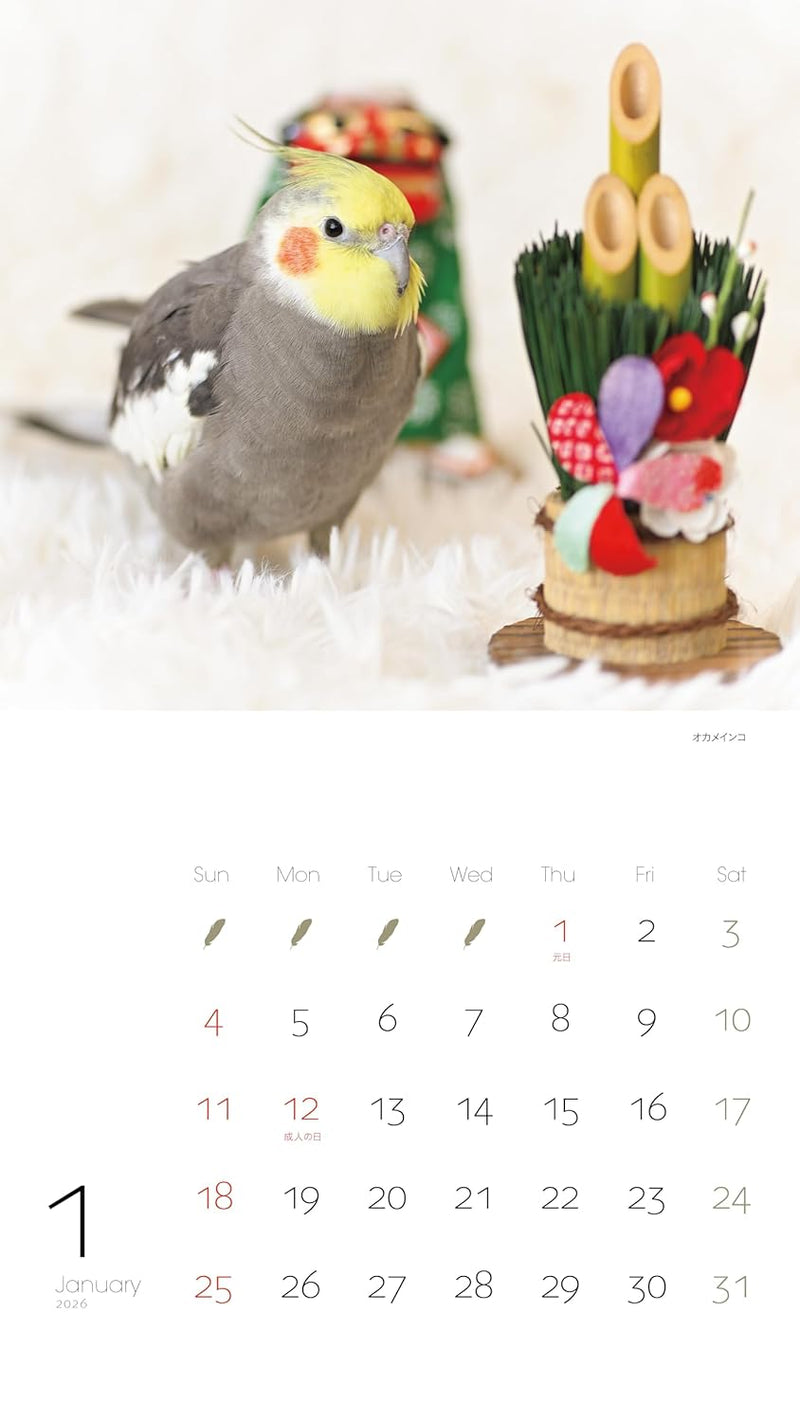 2026 Kawainko Calendar Parrots and Small Birds Calendar (Monthly/Wall Calendar) (Yama-Kei Calendar 2026)