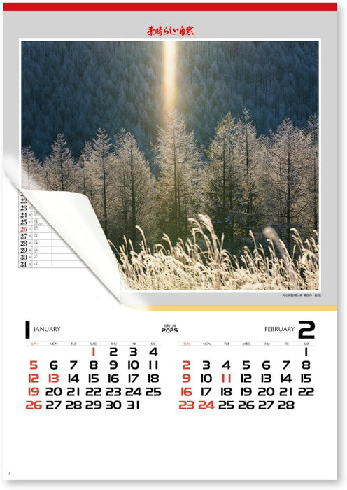 New Japan Calendar 2025 Wall Calendar Amazing Nature NK116 610x425mm