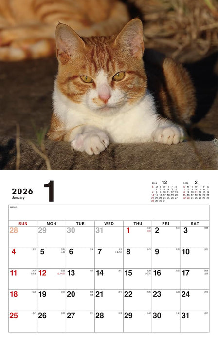 Boss Cat Calendar 2026
