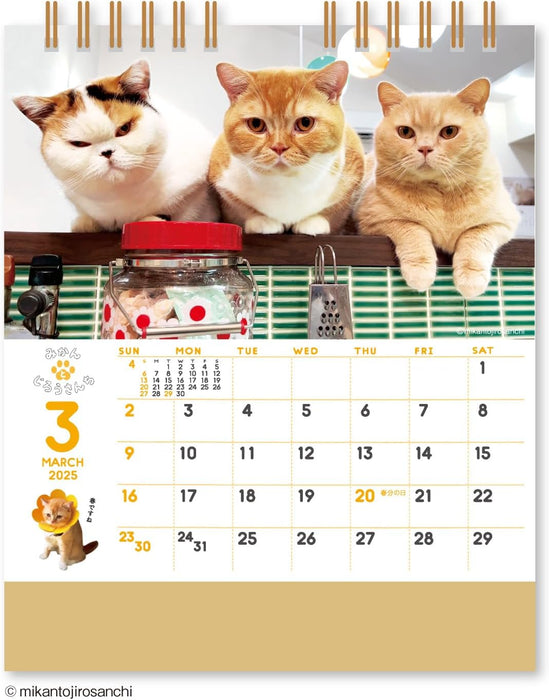 New Japan Calendar 2025 Desk Calendar Life with Cats Mikan to Jirousan Chi NK8527