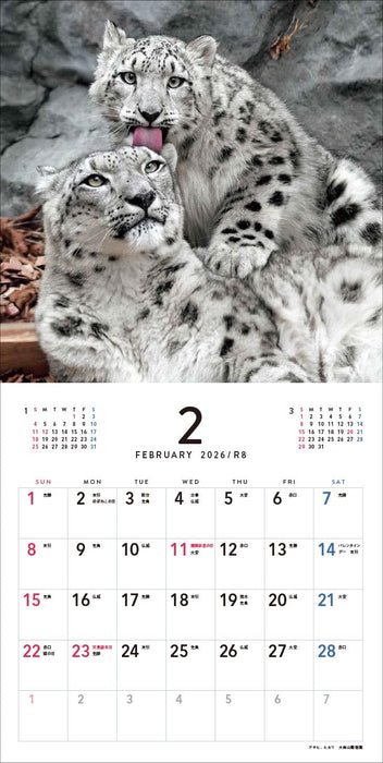 Almost Cats Calendar 2026