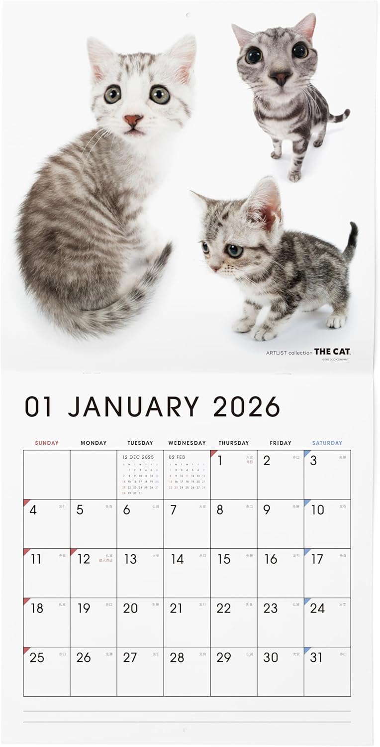THE CAT 2026 Wall Calendar Large Size [All Stars]