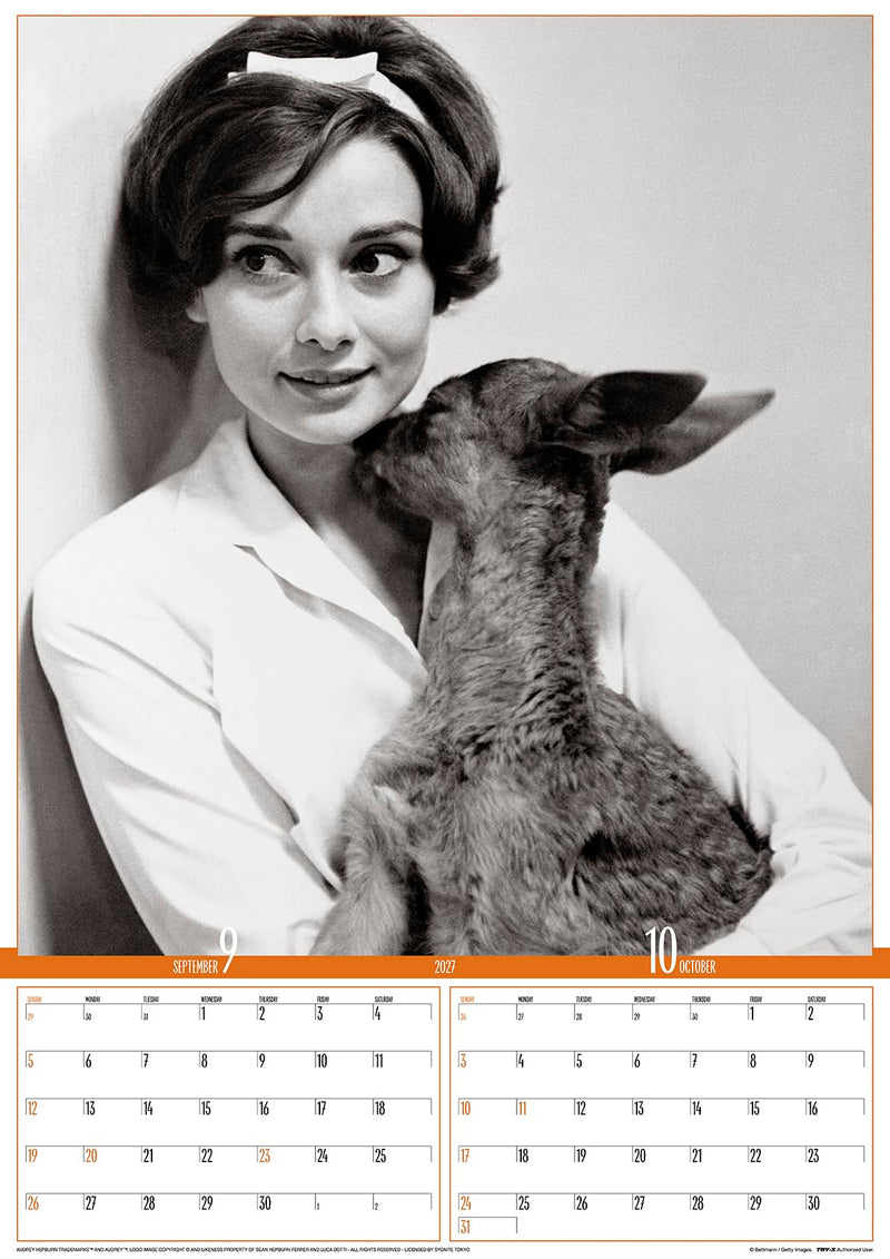 Try-X 2027 Wall Calendar Audrey Hepburn B2 27CL-341