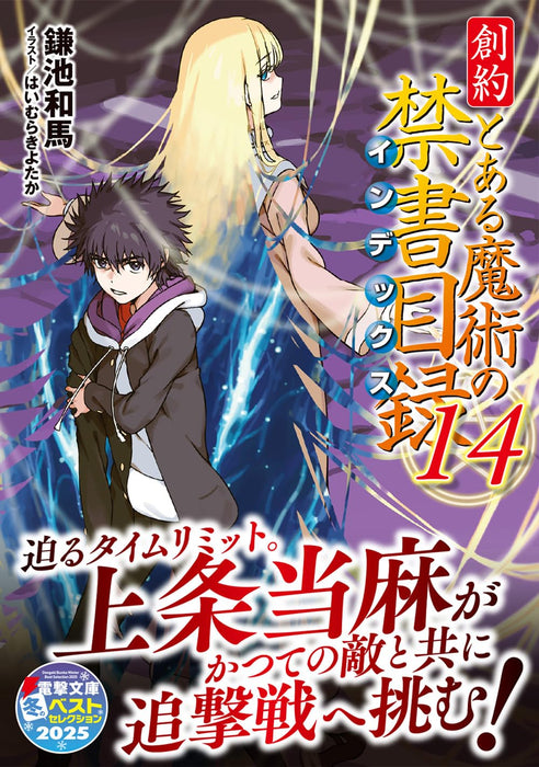 Souyaku Toaru Majutsu no Index 14 (Light Novel)