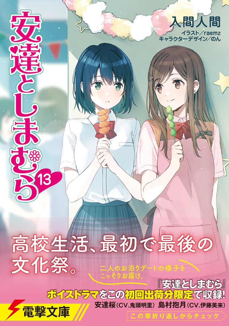 Adachi and Shimamura 13 (Light Novel)