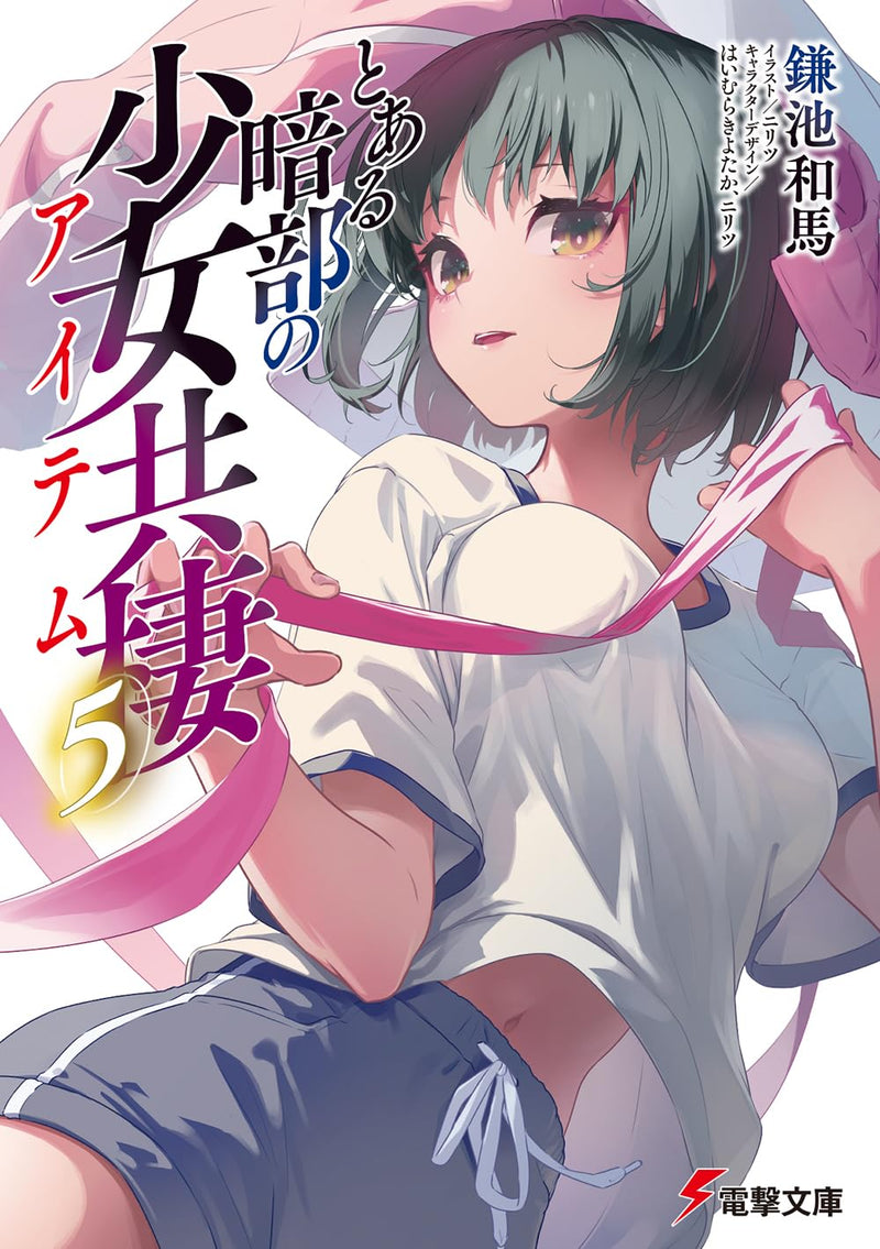 A Certain Item of Dark Side (Toaru Anbu no Item) 5 (Light Novel)