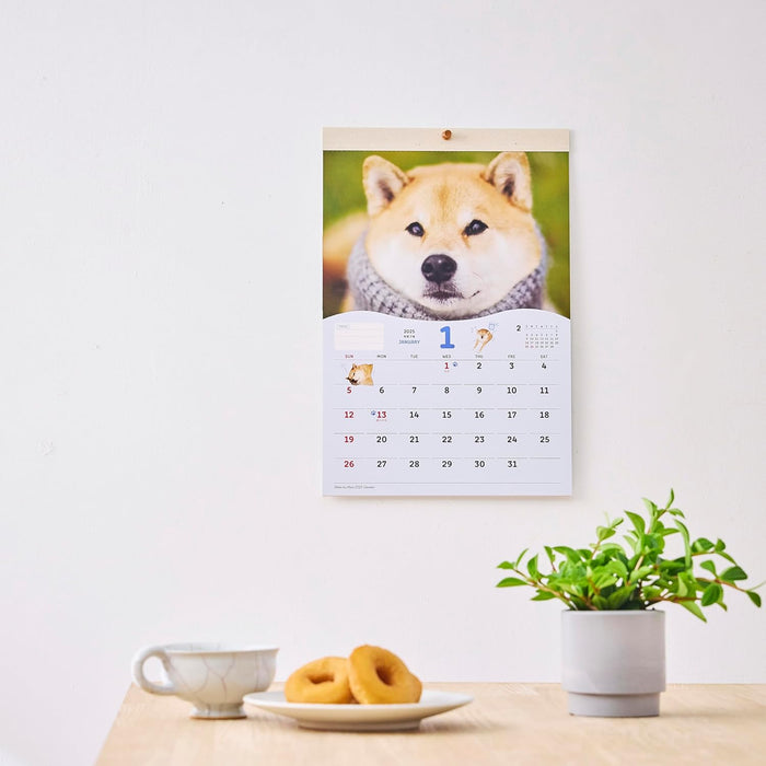 New Japan Calendar 2025 Wall Calendar Shiba Inu Maru Small NK4008